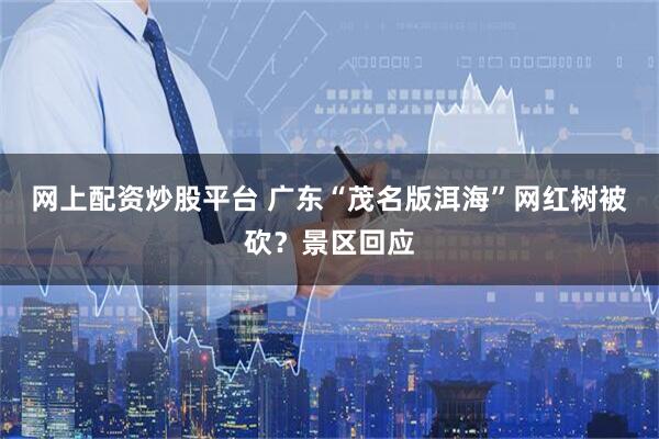 网上配资炒股平台 广东“茂名版洱海”网红树被砍？景区回应